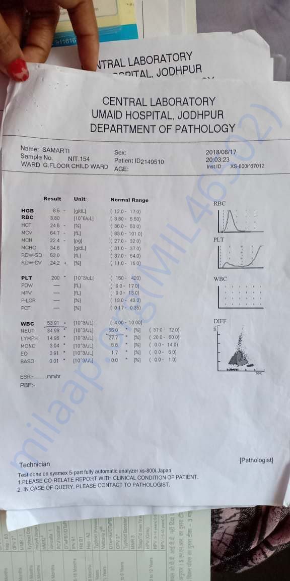 WBC COUNTS REPORTS