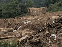 During coorg landslide we lost our home and property