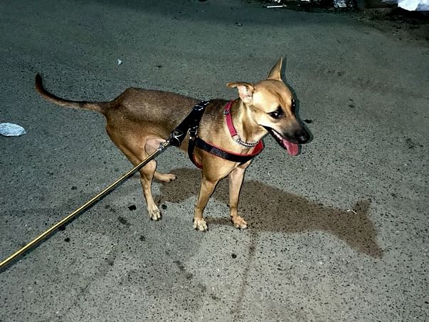 Help Carlo Get Treated