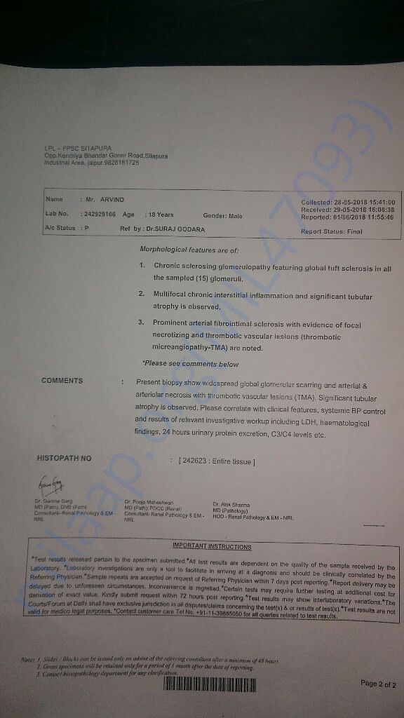Kidney biopsy report 1