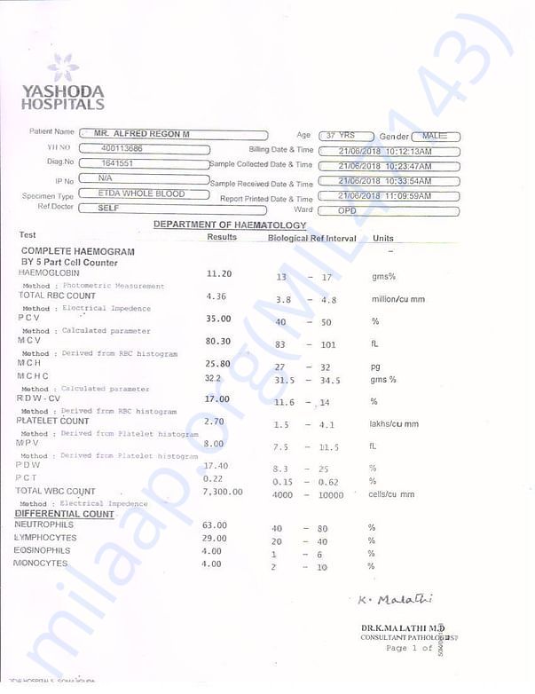 Report 6