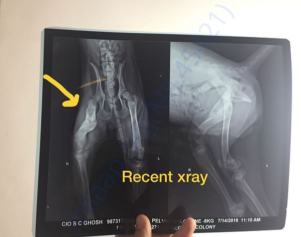 Latest Xray