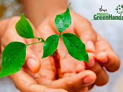 Plant trees online with Project Green Hands!