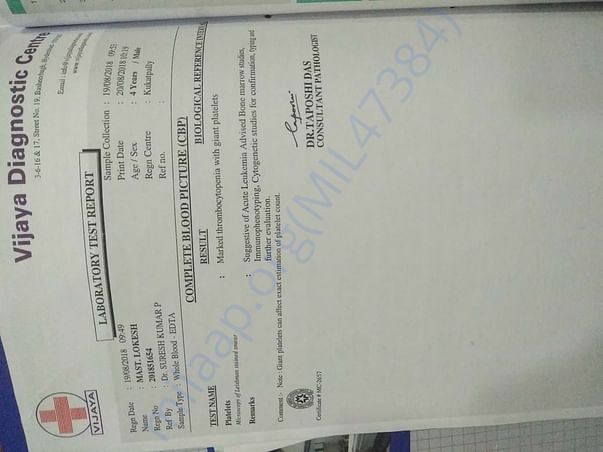 medical/test report