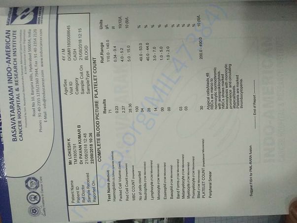 test reports