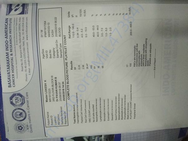 test report