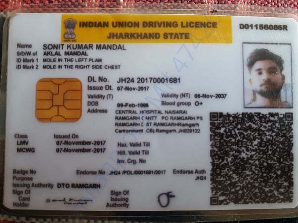 driving licenses