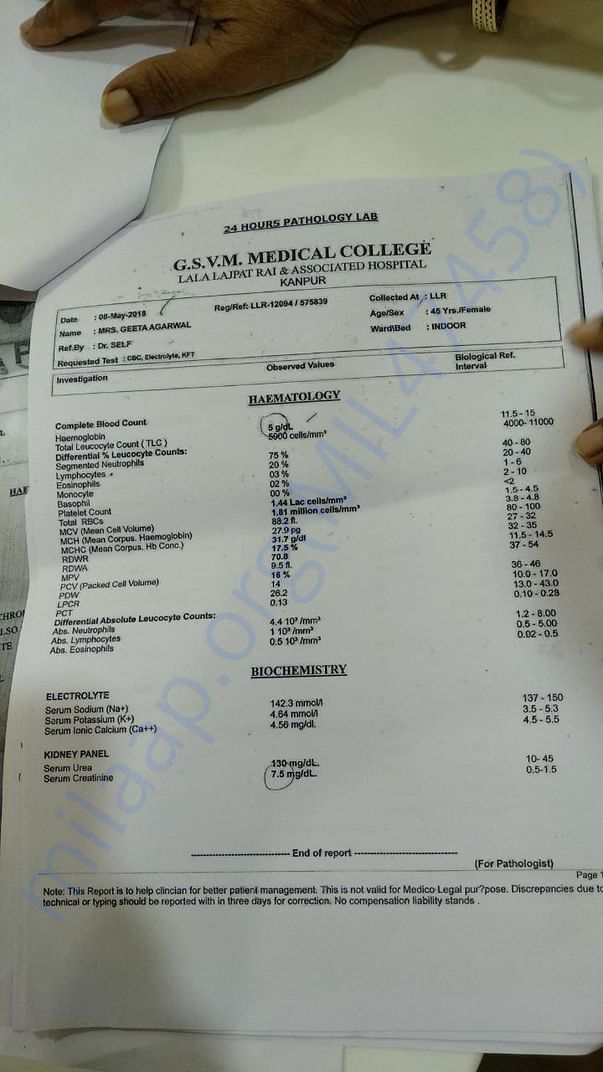 Serum creatinine report