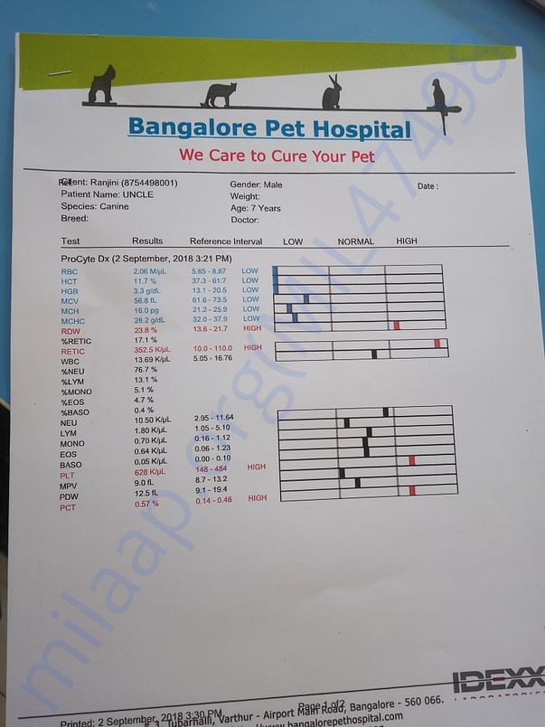 Blood report