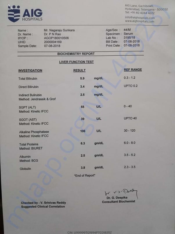 LIVER FUNCTION TEST