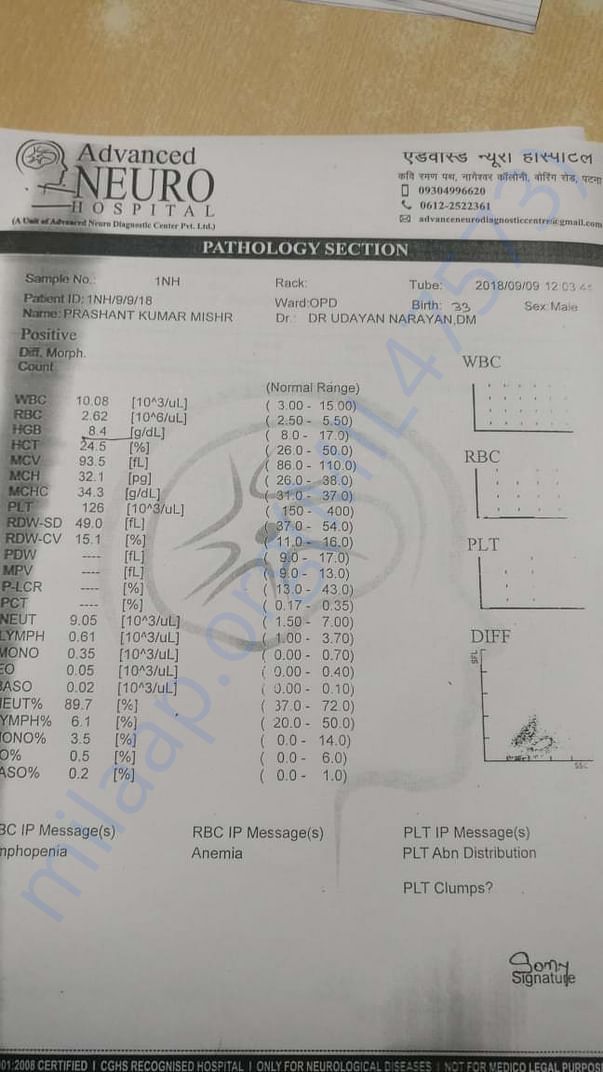 Neurological Report