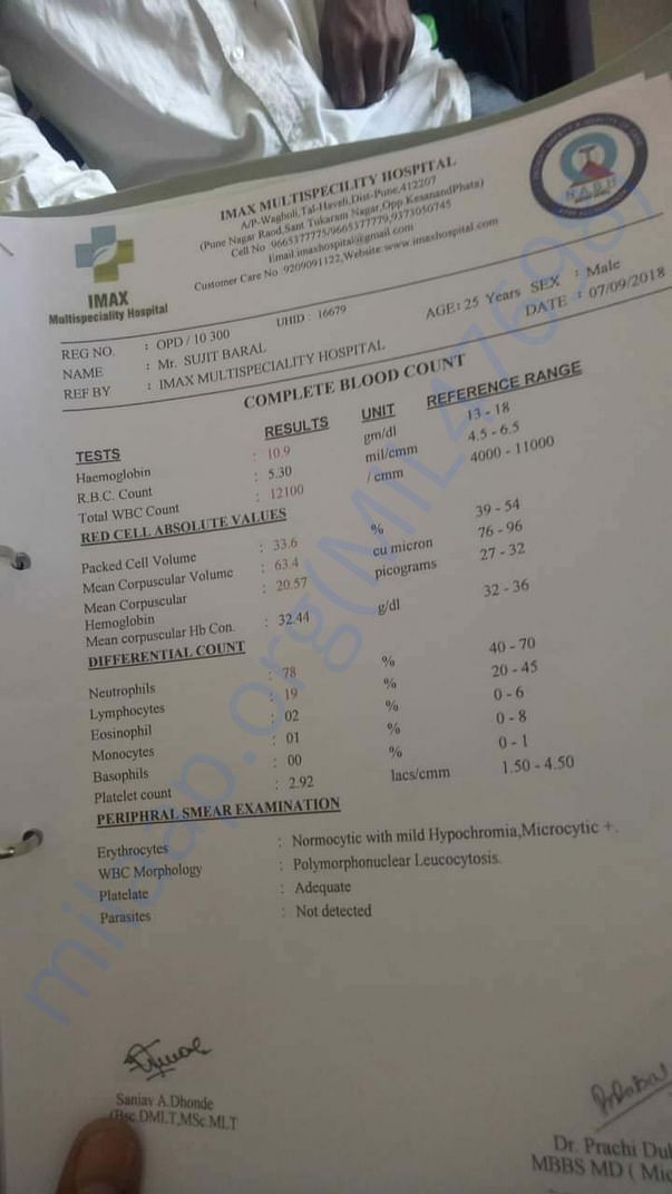 Report