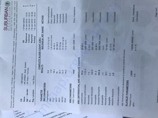 Blood Report