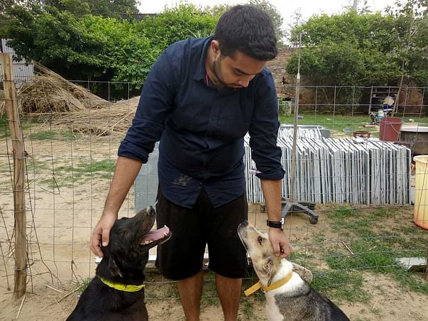 Help Us Sustain and Treat Stray Dogs!
