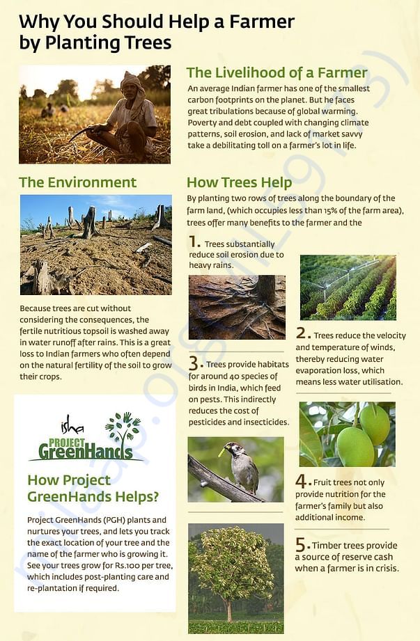 Why Should You Help A Farmer By Planting Trees