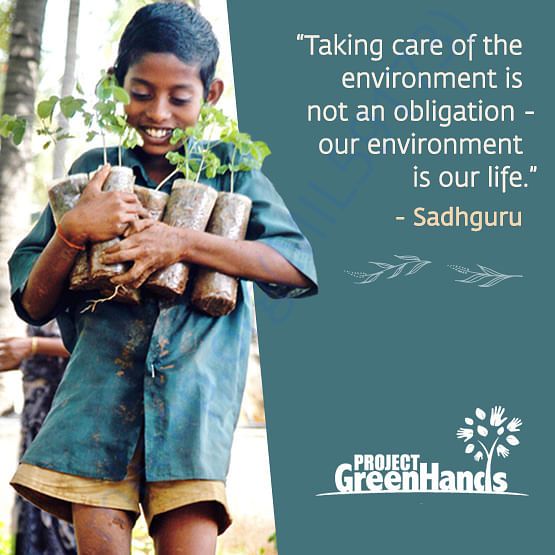 Plant A Tree