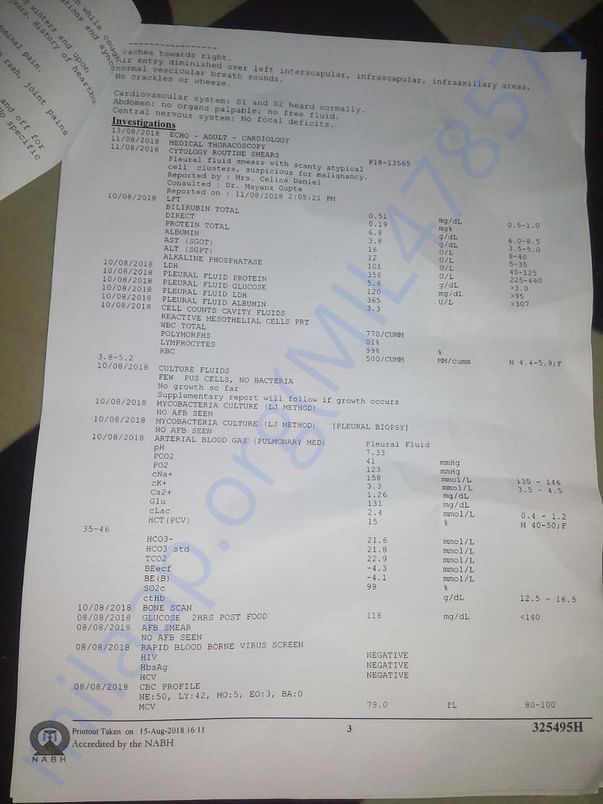 test report