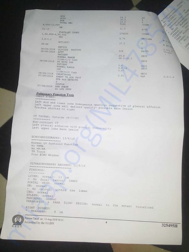 test report