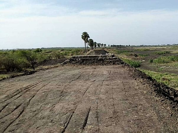 Tree Plantation in Pudukkottai & Sivakasi of Tamil Nadu