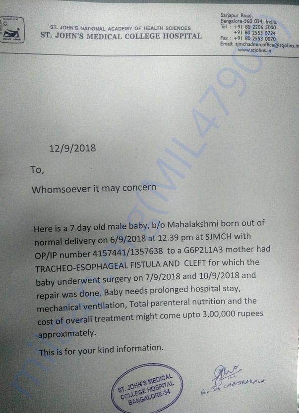 Doctors Estimate