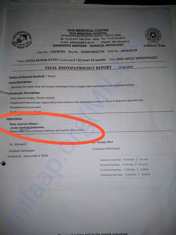 Test Report