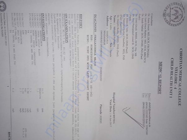 Thalassemia major report