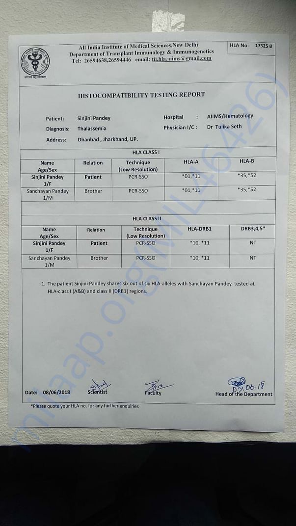 HLA report..