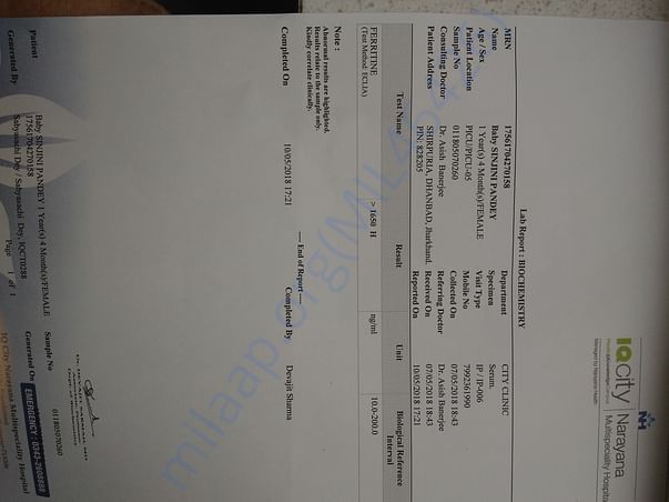 Ferritin report