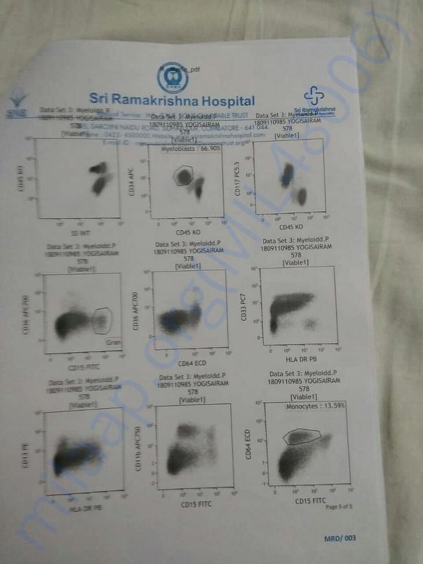 hospital report