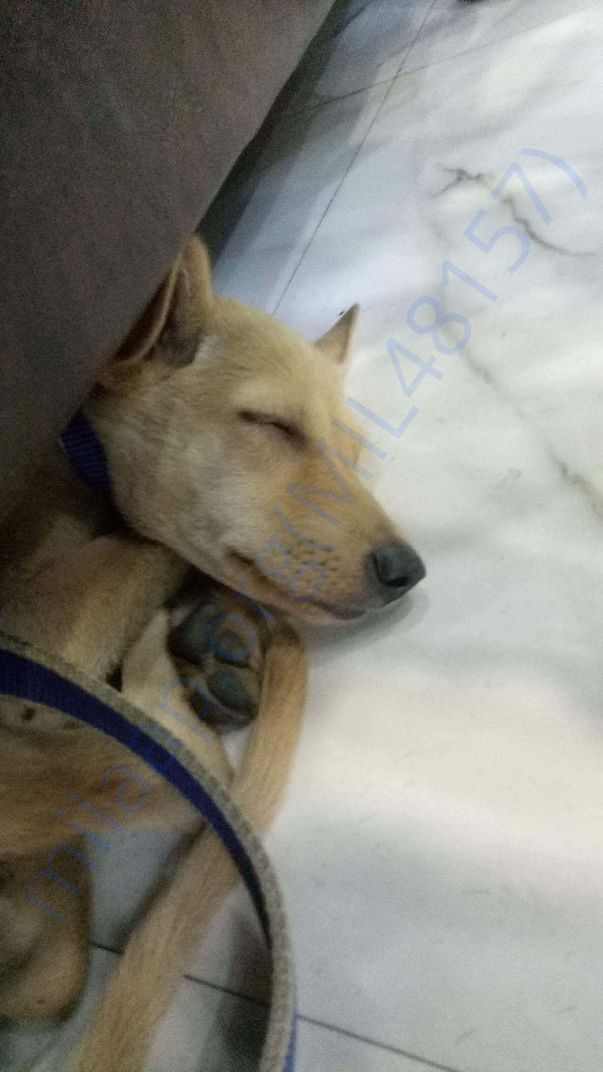 Picture taken immediately after she was rescued.