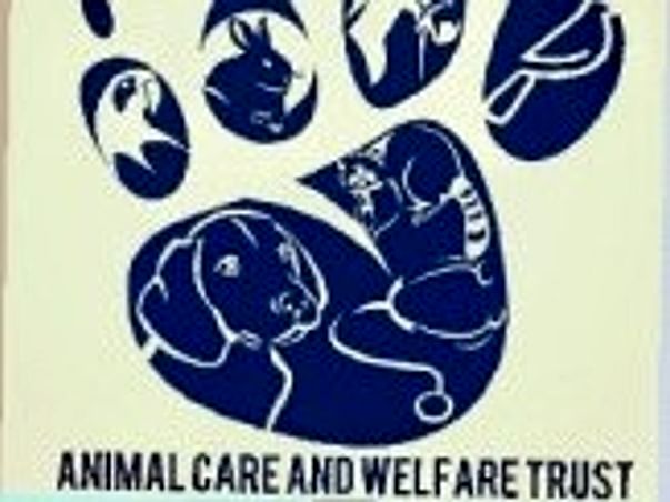 Help Sick and Injured Animals Get Ambulance Service on the Spot