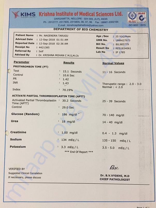 Test Summary page1