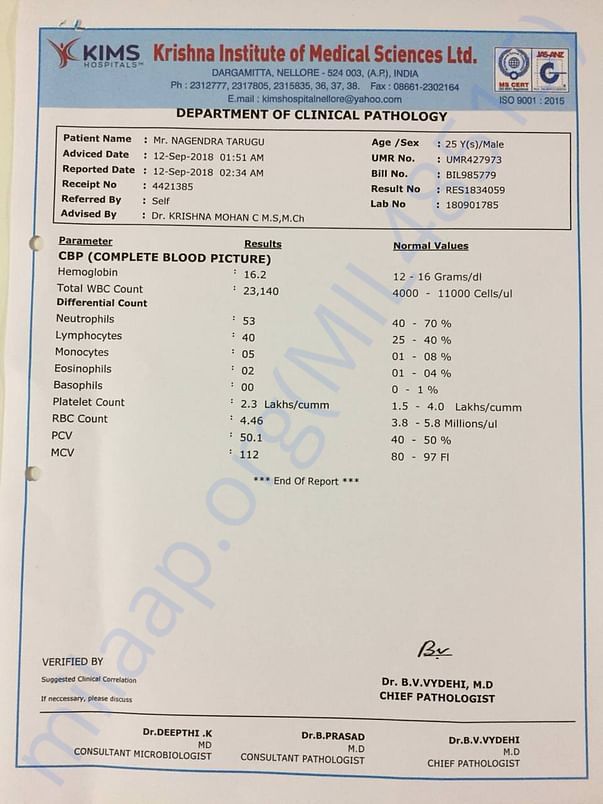 Test Summary page5