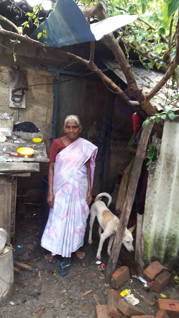 Ammini Amma , Mother for the Voiceless