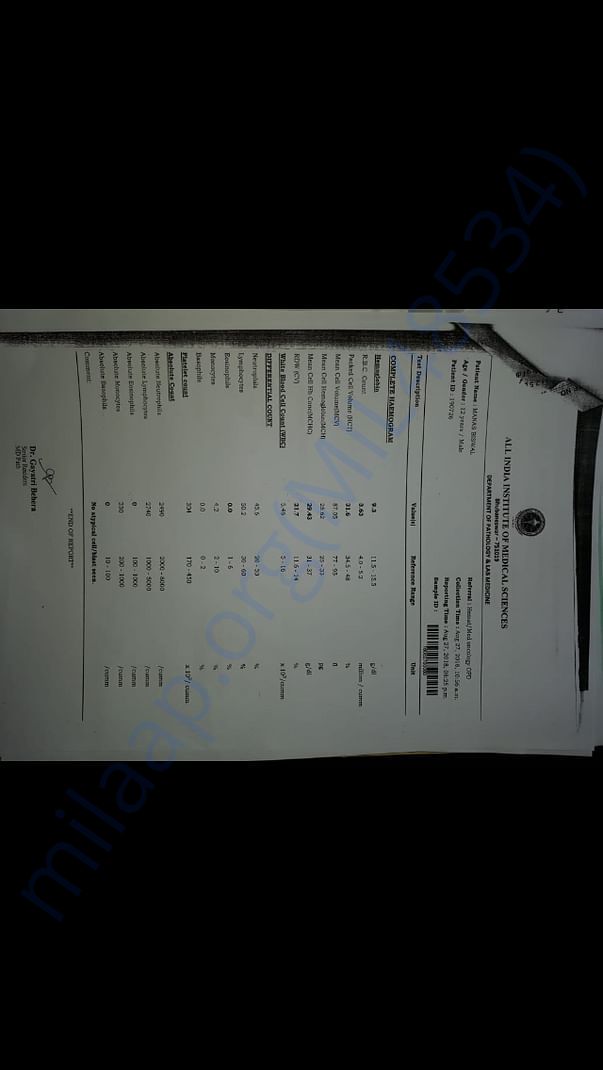 Doc 8