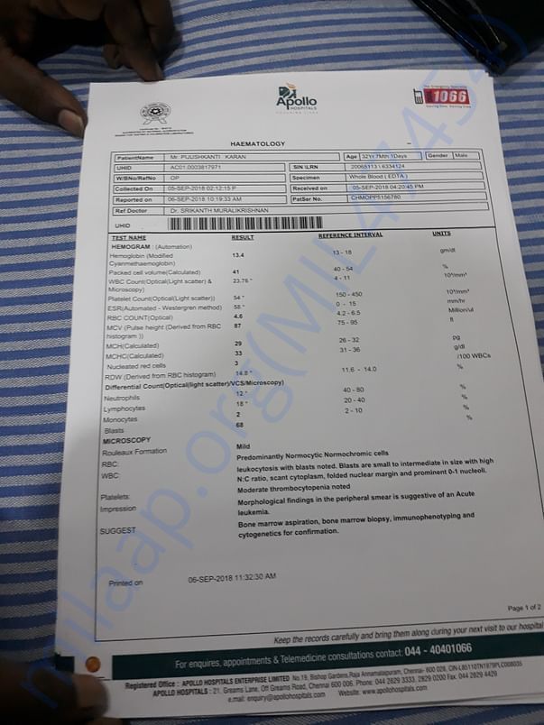 Apollo Chennai Blood Test report