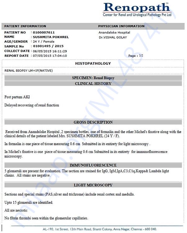 Kidney Biopsy Report