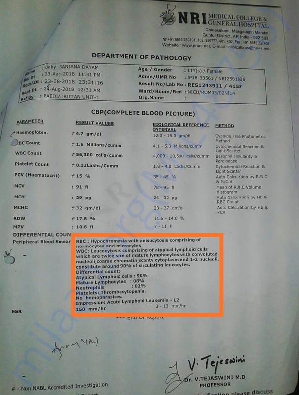 COMPLETE BLOOD PICTURE REPORT
