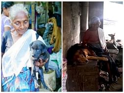 Help Ammini Amma to Build Shelter for her Dogs