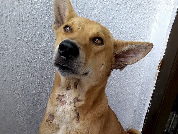 Help Thor recover!