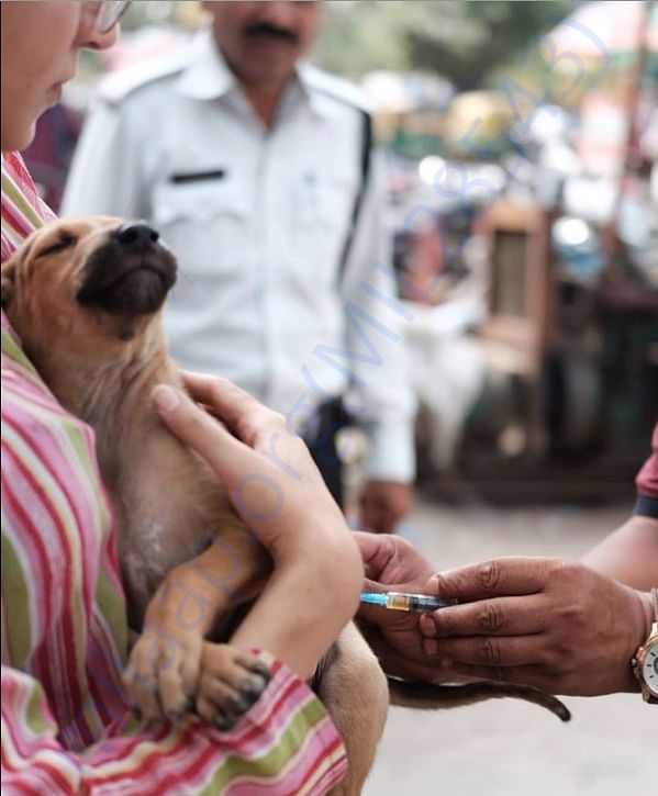 Vaccination Drive