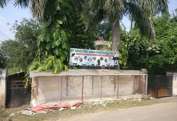 Hakhoo street animals foundation