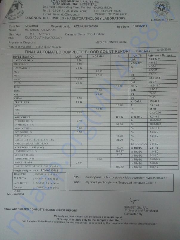 Blood report