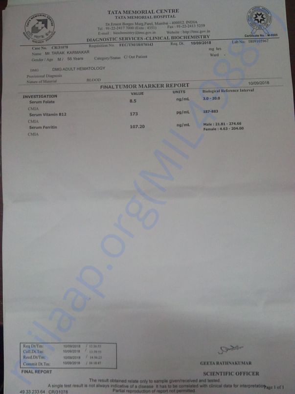 blood report