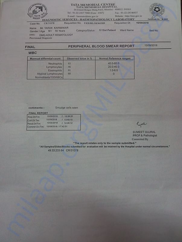 Blood report