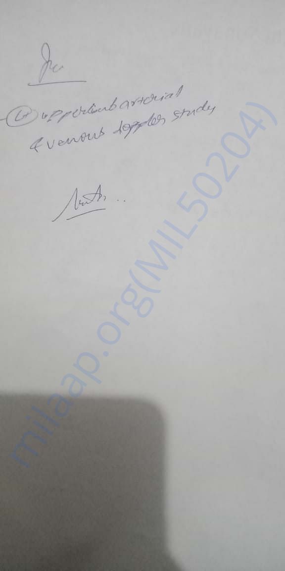 Doctor Report