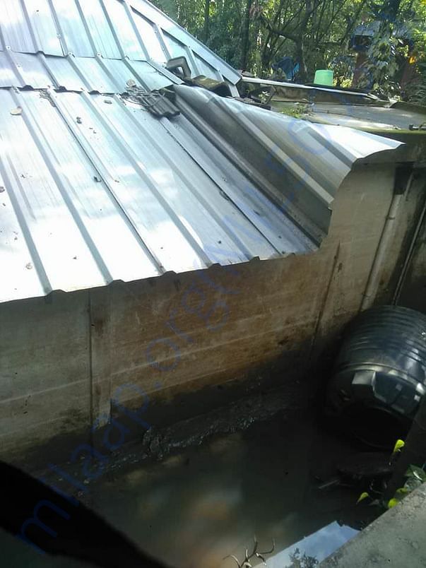 House after flood