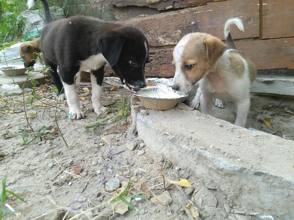 De-hydrating together!