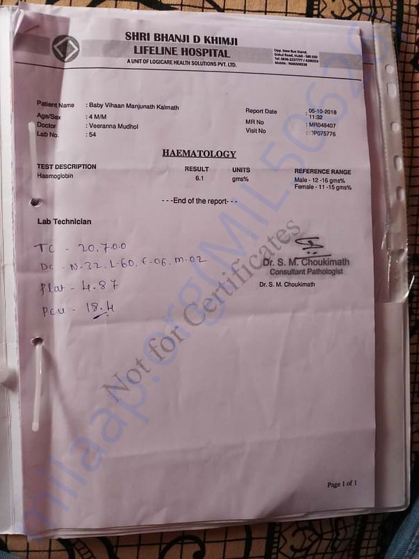 Transfusion reports