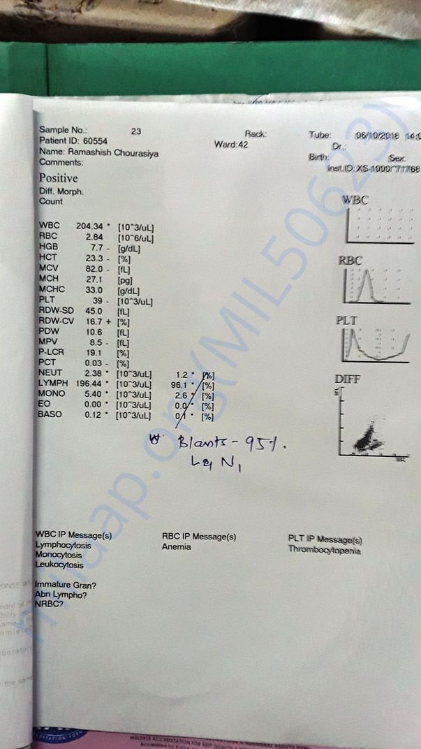 Blood Report